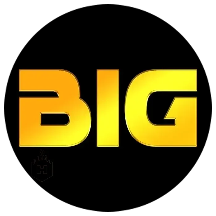 BIGHOKI - Petualangan Seru dalam Dunia MMORPG